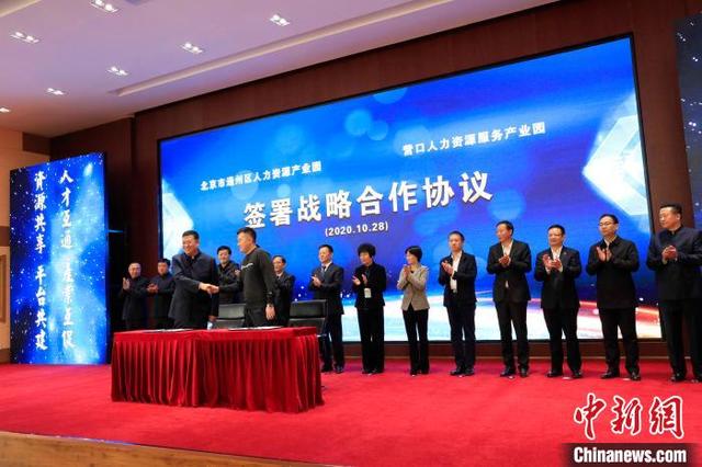 营口人力资源服务产业园一周年:塑造经济发展新优势